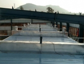 黑龙江德国新型动力排潮