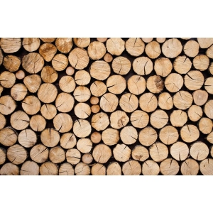 如何正确选择木材干燥设备？